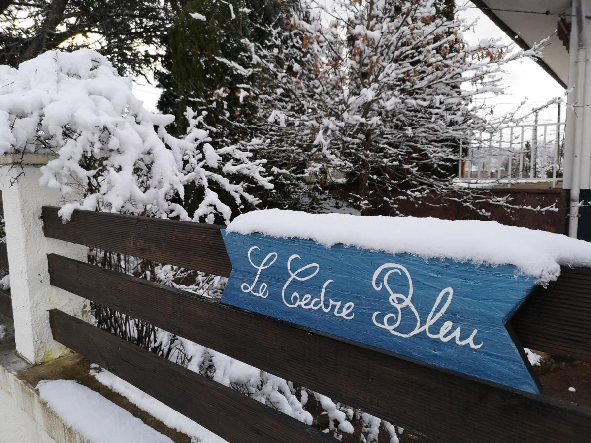 Le Cedre Bleu Hotel Saint-Michel-sur-Meurthe Exterior foto